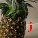 Pineapple_Juice's Avatar
